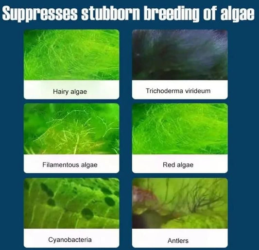ClearFin Fish Tank Algae Remover Pack