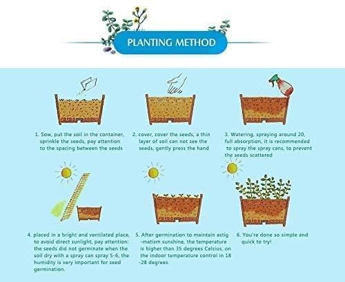 FloraMix Bougainvillea Pack