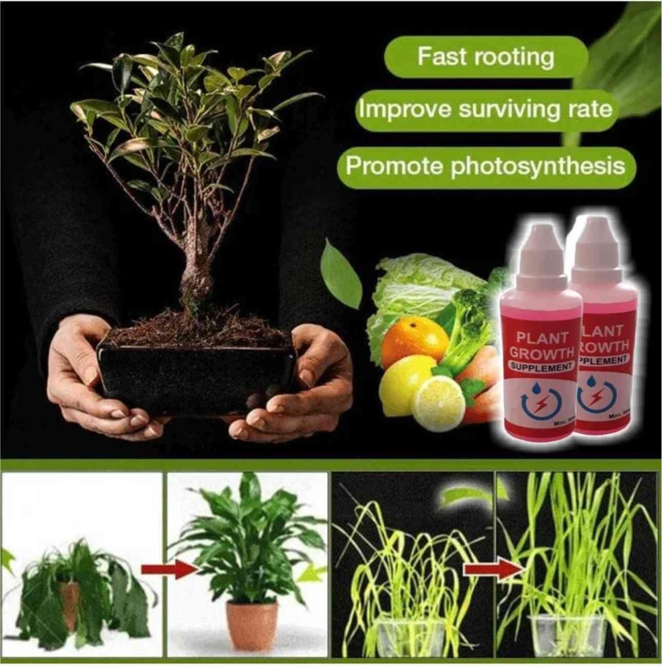 FloraBoost Plant Booster