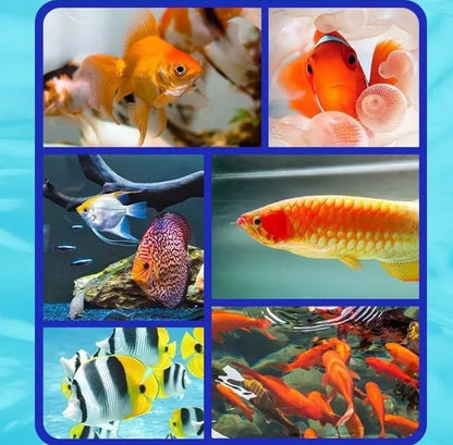 ClearFin Fish Tank Algae Remover Pack